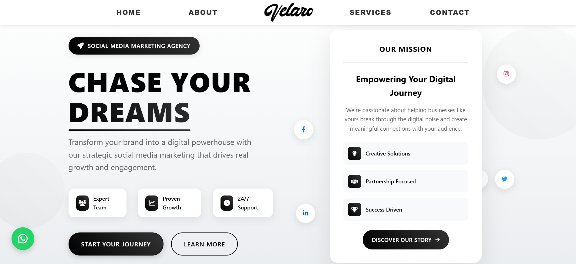 Velaro Marketing Agency Demo